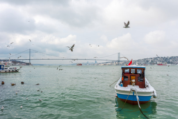 博斯普鲁斯的下雪天。图片下载