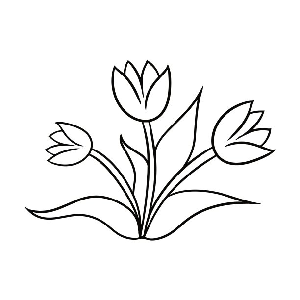 单色郁金香花束与叶子，涂鸦，矢量卡通图片下载