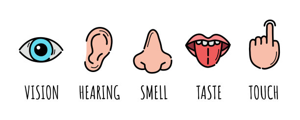 手绘的代表五种感觉的简单图标。手绘彩色涂鸦。向量。图片下载