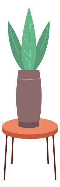 绿色植物花盆在桌子上。家中室内装饰孤立于白色之上图片下载