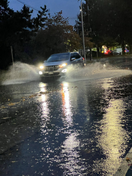 大雨及水浸图片下载