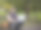 一个年轻人坐在公园的长椅上，手里拿着笔记本电脑。图片下载