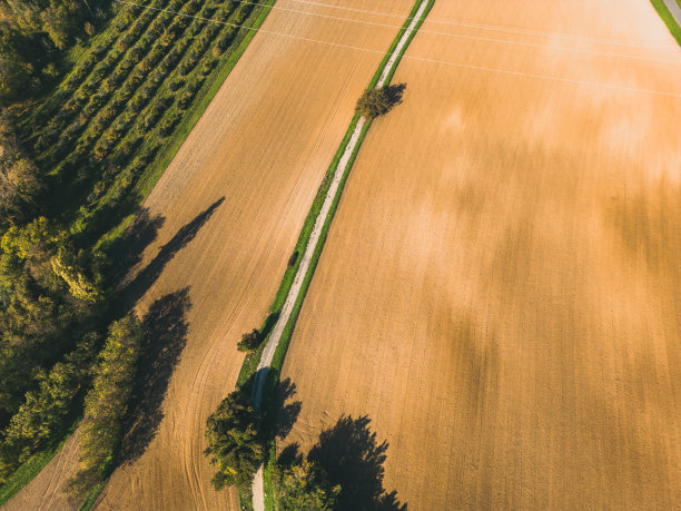 在夕阳西下的时候犁地。在一条铺好的土路中间图片下载