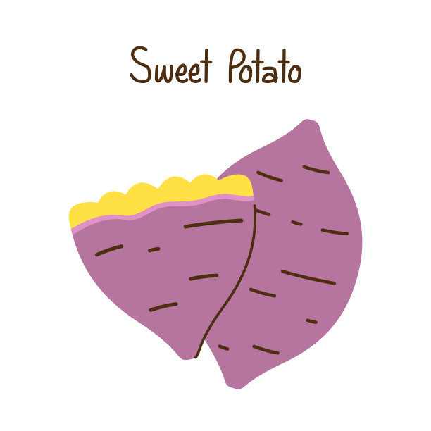烤红薯。白底烤红薯。日本红薯。图片下载