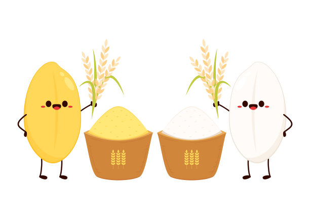 米字设计。白色背景上的水稻矢量。水稻种子。图片下载