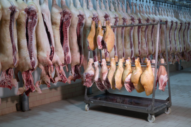 肉类加工在餐饮行业，切生猪图片下载
