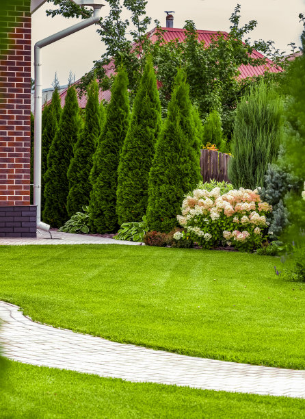 一个私人住宅的后院图片下载