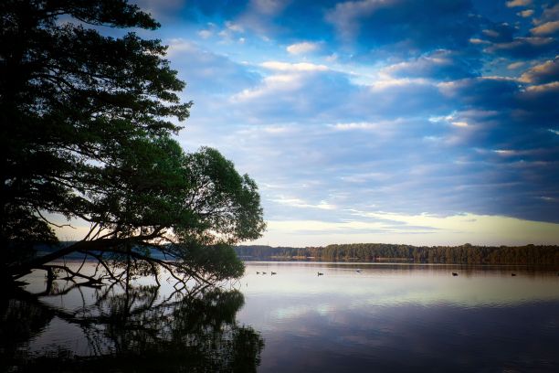 湖的景观，周围的树木和多云的天空的反射图片下载