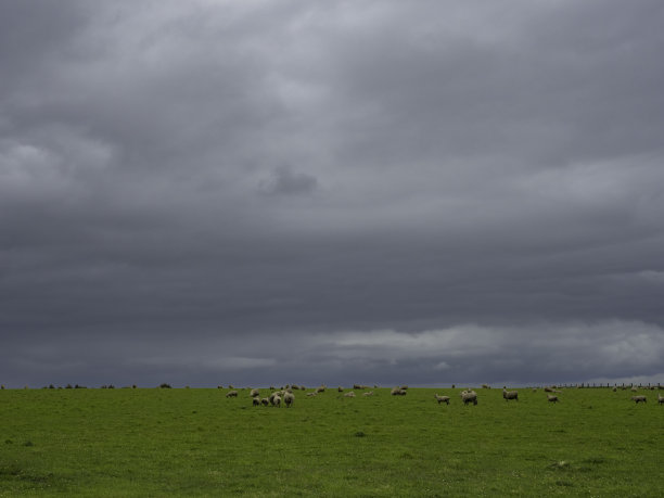乌云密布的天空和绿色田野里的羊群图片下载