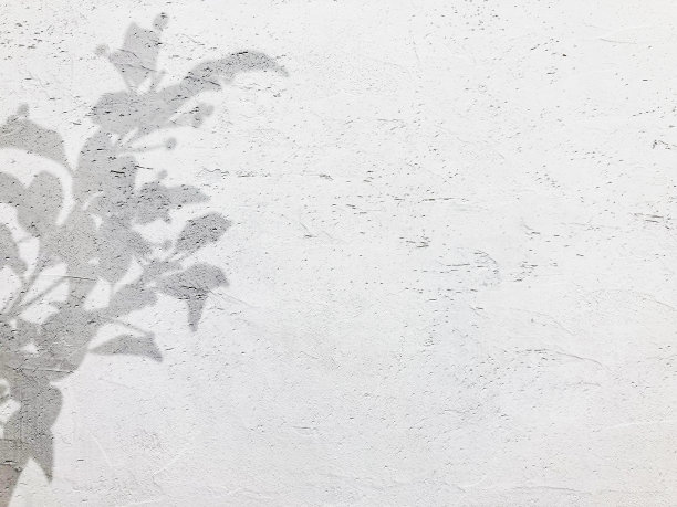 背景材料的白色石膏墙与植物的阴影光栅材料图片下载