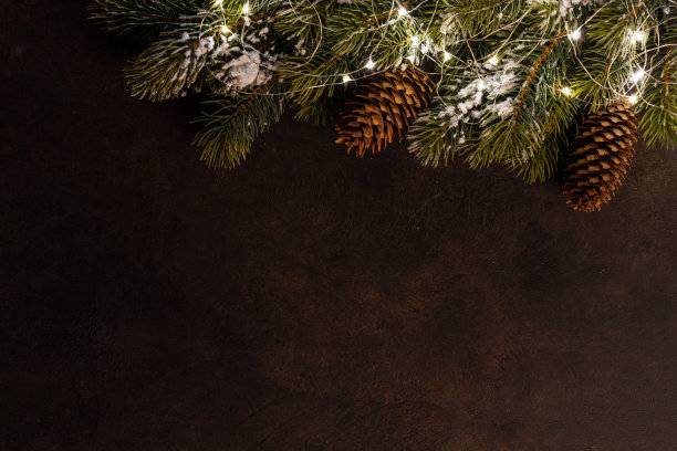 圣诞节发光的花环和杉树树枝图片下载