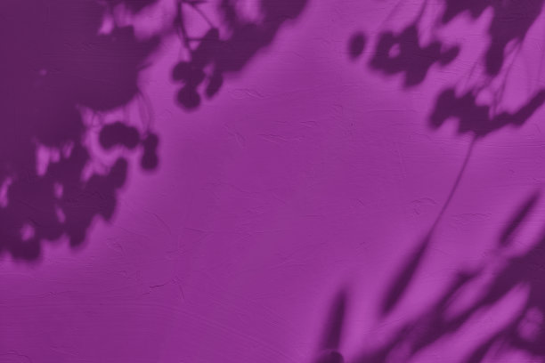 树叶的影子在紫色混凝土墙纹理背景图片下载