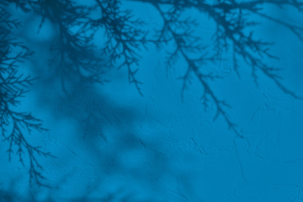 树叶的影子在蓝色混凝土墙纹理背景图片下载