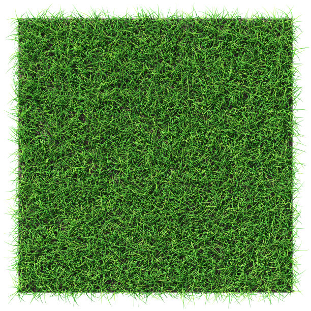 草的外形——孤立的设计元素图片下载