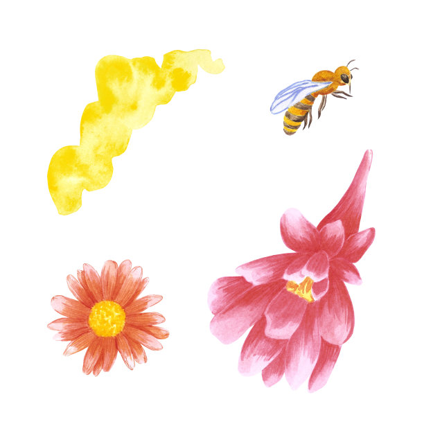手绘水彩画蜜蜂和花朵在白色的背景。剪贴簿设计，排版海报，标签，横幅。图片下载