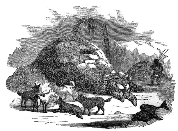 古董插图-北极因纽特小屋-格陵兰图片下载