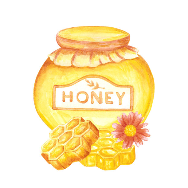手绘水彩蜂蜜罐和梳子组成的白色背景。剪贴簿设计，标志，标签，横幅。图片下载