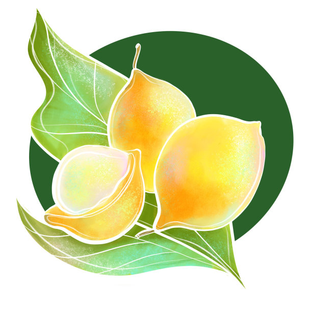 色彩插画简单的设计元素水果浆果巴西黄色与叶子水彩风格印刷包装食品和化妆品的标志部分图片下载