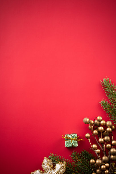 圣诞背景设计概念与美丽的装饰和树枝。图片下载