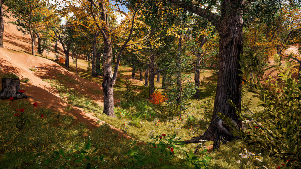 秋天的森林环境。三维渲染图片下载