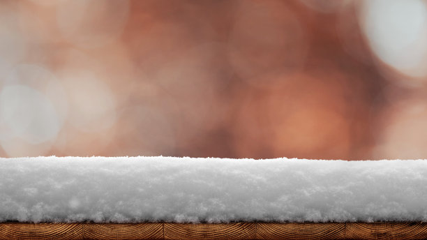 木质木板铺在树林里，阳光明媚图片下载