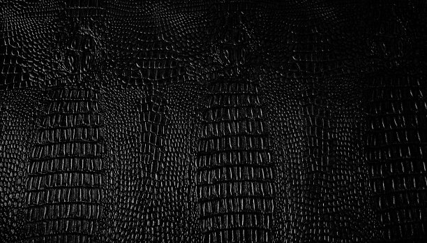 黑色鳄鱼皮质地背景图片下载