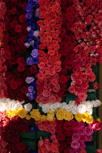 危地马拉殖民地城市安提瓜的花卉安排，春季活动和有机装饰细节。图片下载