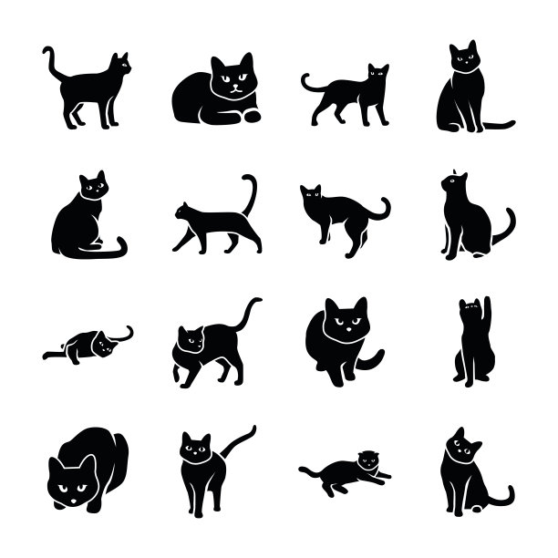 猫咪姿态图片下载