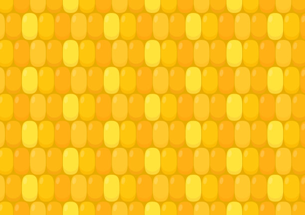 玉米的模式。矢量图案和一粒玉米。写实风格的矢量插图。适用于面料、纺织品、包装纸等装饰设计。图片下载