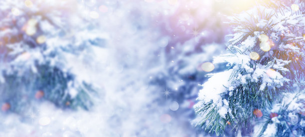 圣诞树。雪。圣诞新年冬季背景。圣诞贺卡。圣诞灯。神奇的冬季雪景。文本空间。横幅。图片下载