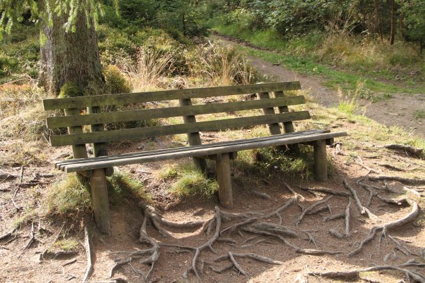 花园的长椅上图片下载