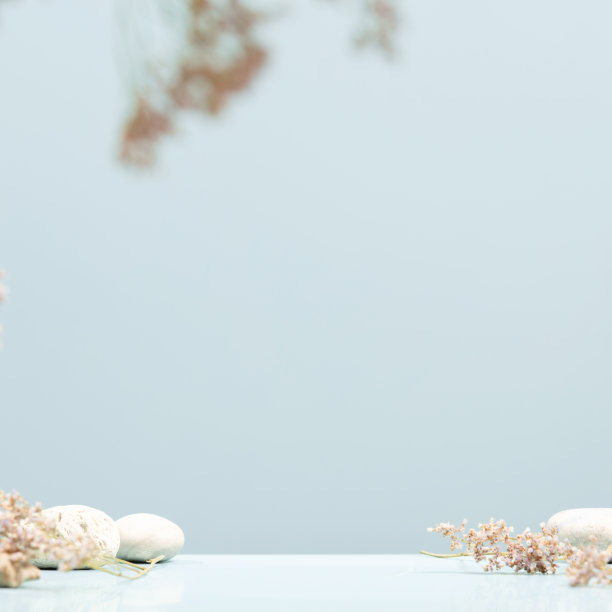 背景化妆品与干花和天然石头。前视图图片下载