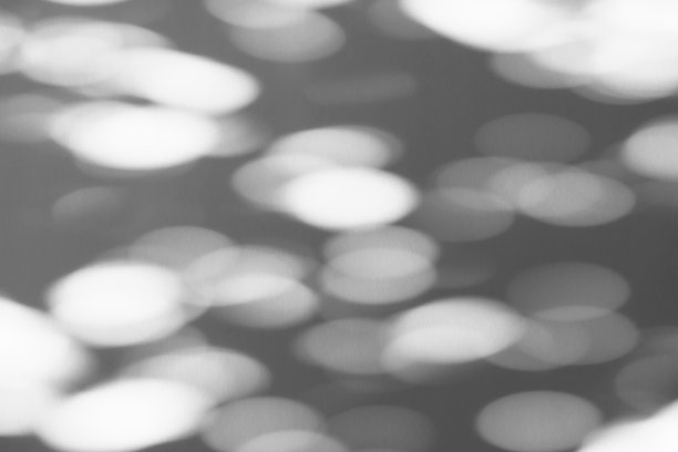 阴影叠加效果的照片。阳光下白色墙壁上树叶和热带树枝的影子。图片下载