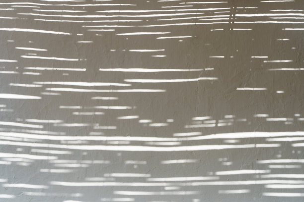 阴影叠加效果的照片。阳光下白色墙壁上树叶和热带树枝的影子。图片下载