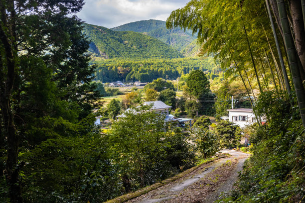 夏季日本乡村的乡村景观图片下载