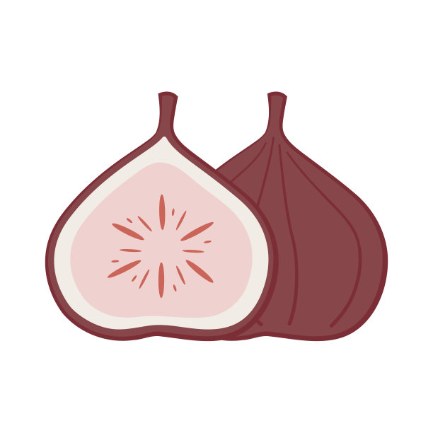 无花果的标志。孤立的无花果在白色背景。图卡通矢量。图片下载