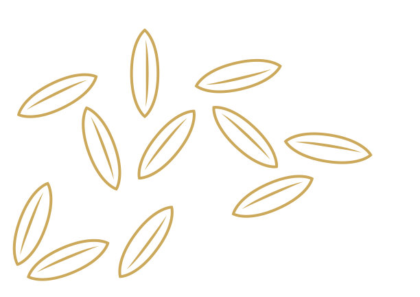 米色墙纸。大米向量。为文本腾出空间。副本的空间。水稻的模式。图片下载