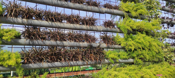 垂直花园的花盆由PVC管制成。图片下载