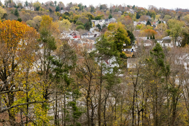 树后的小镇图片下载