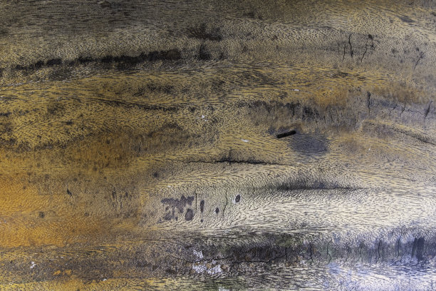 木纹面板背景和墙纸纹理图片下载