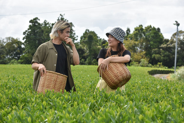 日本/英国男女在日本采茶——库存图片图片下载