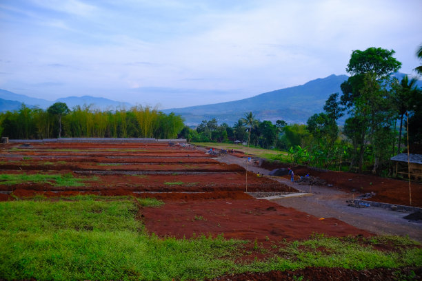新增农业用地图片下载