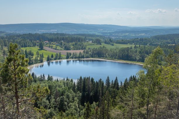 一个被松树林和绿色植物包围的湖泊的惊人的照片图片下载