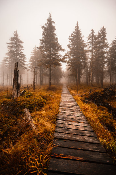 耶泽尼基的山景，从小耶泽尼克山顶的徒步小径上可以看到山脉的景色。为徒步旅行者穿过沼泽而设的通道图片下载