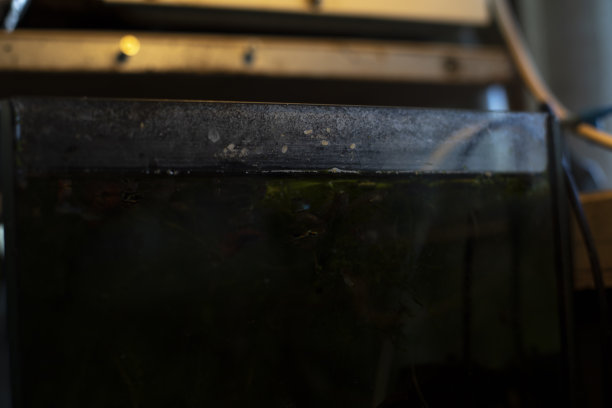 旧的水族馆。养鱼的水族馆。玻璃幕墙。水箱。图片下载