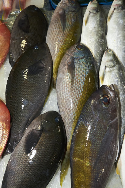 台湾，太平洋，柜台上出售的冰鲜鱼图片下载