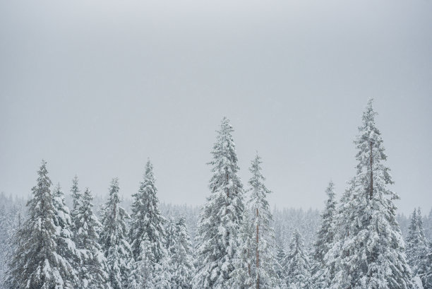 雪暴风雪图片下载