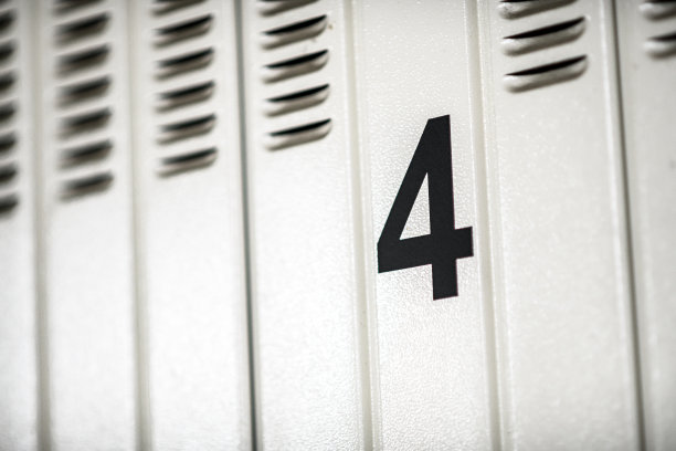 4号在车库门上图片下载