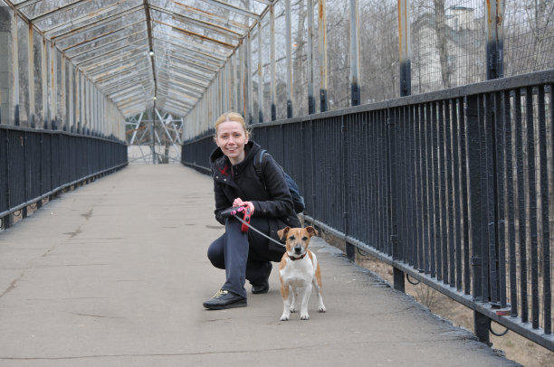 一个年轻的女人和一只狗坐在桥上，看着摄像机图片下载
