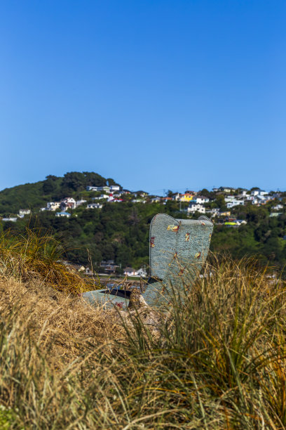 丢弃在新西兰惠灵顿莱尔湾沙丘中的旧沙发图片下载